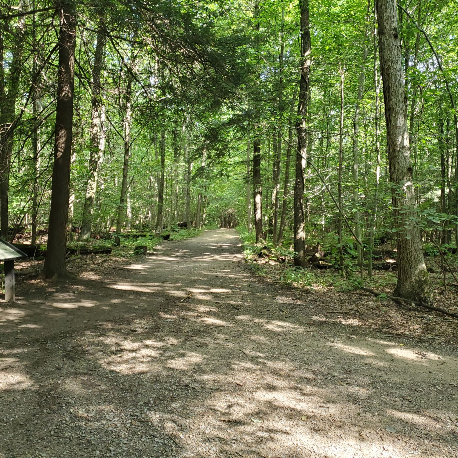 Ledges and Pine Grove Trails 